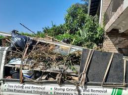 Best Commercial Junk Removal  in Wilkinson Heights, SC