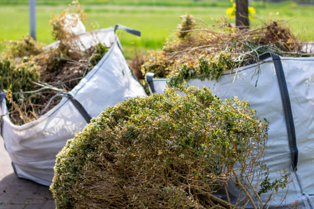Professional Junk Removal Services in Wilkinson Heights, SC